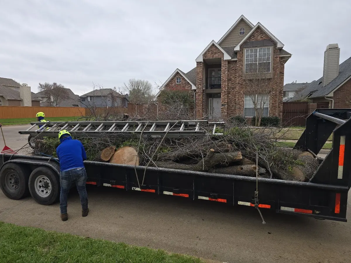 Expert Tree Fertilization with proper safety equipment in Wayne